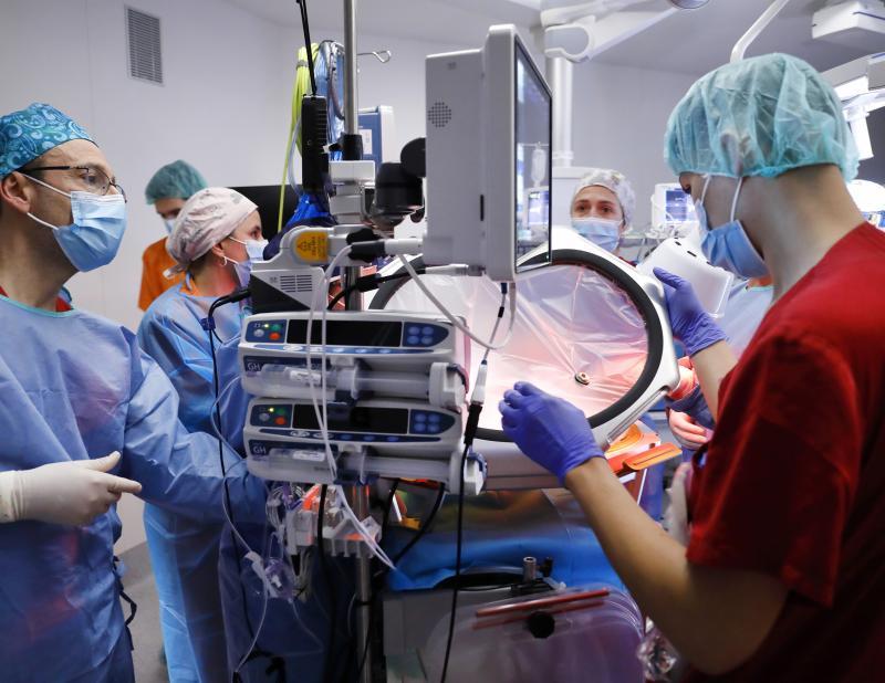 Investigación Placenta artificial 4712