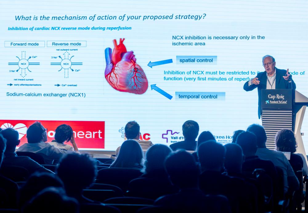 health-research-meeting-2025-working-sessions-day-1-31.jpg