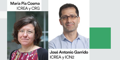 Maria Pia Cosma (ICREA y CRG) y José Antonio Garrido (ICREA y ICN2)